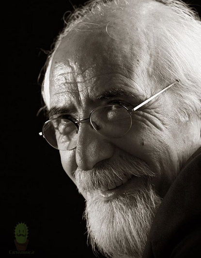 ملک‌ محمد مسعودی