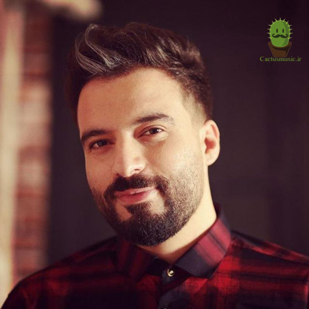 از مجید ماندگاری - دانلود آهنگ دلگیرم از مجید ماندگاری