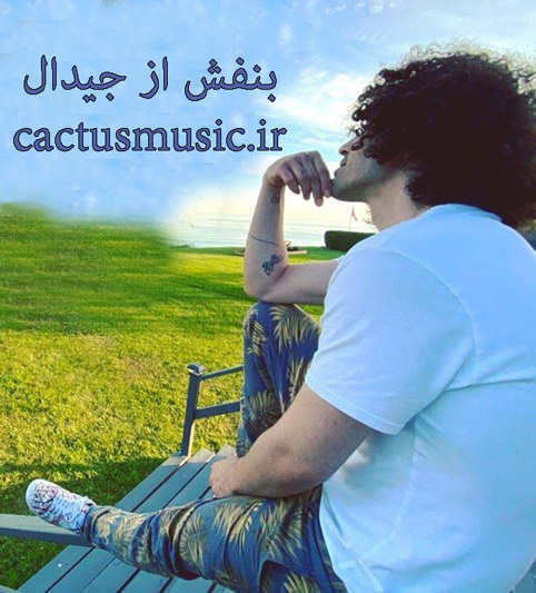 از جیدال - دانلود آهنگ بنفش از جیدال