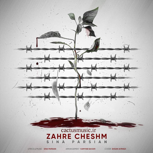 دانلود آهنگ زهر چشم از سینا پارسیان چشم از سینا پارسیان - دانلود آهنگ زهر چشم از سینا پارسیان