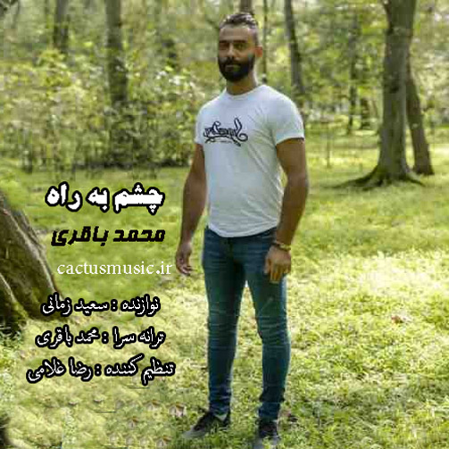 به راه از محمد باقری - دانلود آهنگ چشم به راه از محمد باقری