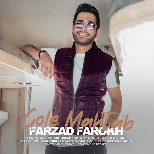 Farzad-Farokh-Gole-Mahtab دانلود آهنگ گل مهتاب از فرزاد فرخ