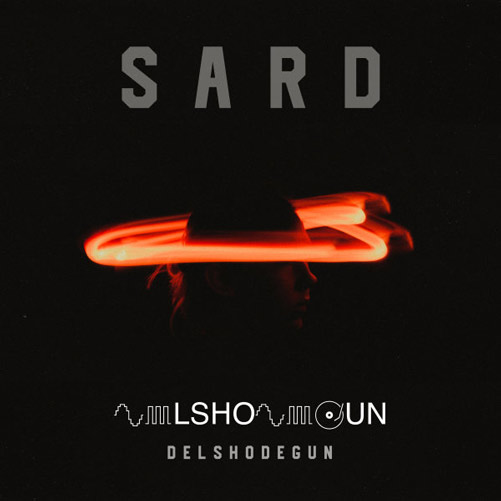 سرد از دلشدگان - دانلود آهنگ سرد از دلشدگان