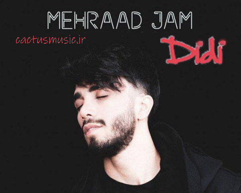 دیدی از مهراد جم