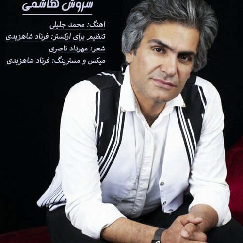 زبون از سروش هاشمی - دانلود آهنگ زخم زبون از سروش هاشمی