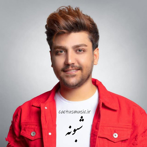 از رضا مریدی - دانلود آهنگ شبونه از رضا مریدی
