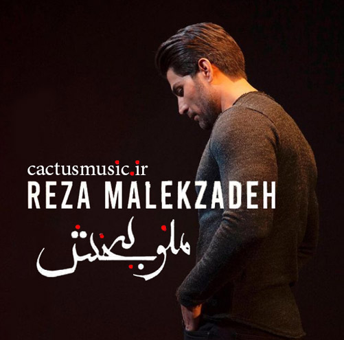 ببخش از رضا ملک زاده - دانلود آهنگ منو ببخش از رضا ملک زاده