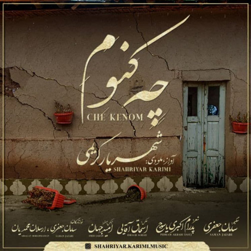 چه کنوم از شهریار کریمی