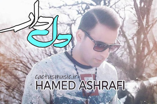 دلدار از حامد اشرفی