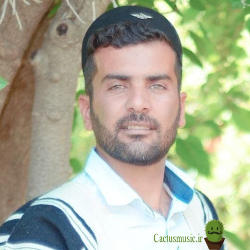 آهنگ های شهرام شهپری