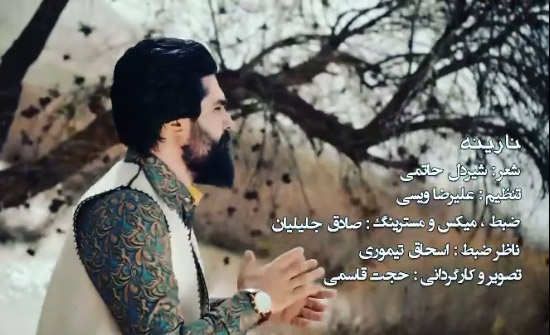 نارینه از شیردل حاتمی