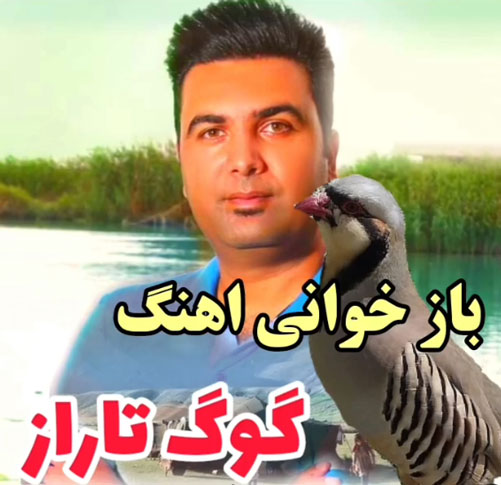 تاراز از امین بور بور - دانلود آهنگ کوگ تاراز از امین بور بور