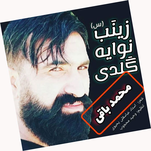 زینب-نوایه-گلدی-از-محمد-باقی زینب نوایه گلدی از محمد باقی