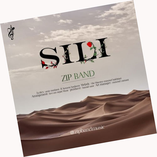 سیلی-از-زیپ-بند سیلی از زیپ بند
