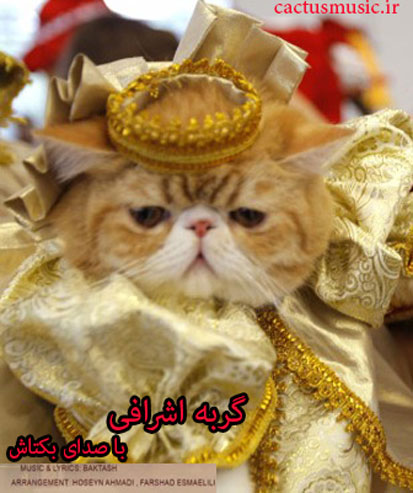 اشرافی از بکتاش - دانلود آهنگ گربه اشرافی از بکتاش
