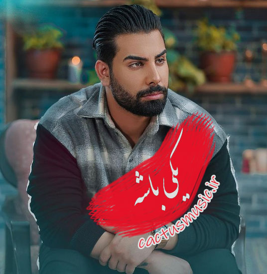 باشه از مجید رضوی - دانلود آهنگ یکی باشه از مجید رضوی