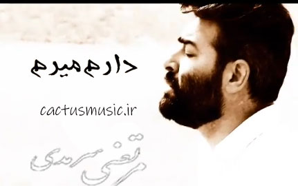 دارم-میرم-از-مرتضی-سرمدی دارم میرم از مرتضی سرمدی