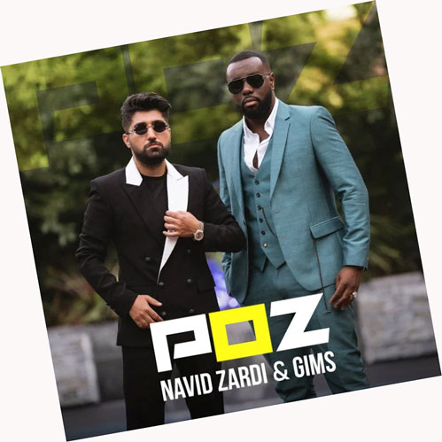 پوز-از-نوید-زردی-و-گیمز پوز از نوید زردی و گیمز
