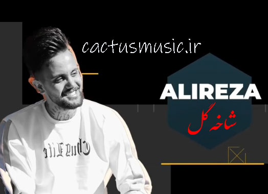 گل از علیرضا رحیم پور - دانلود آهنگ شاخه گل از علیرضا رحیم پور