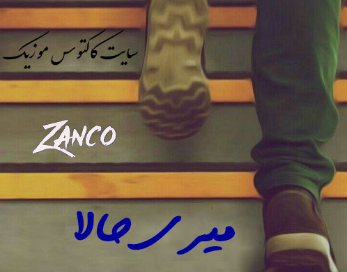 میری حالا از زانکو