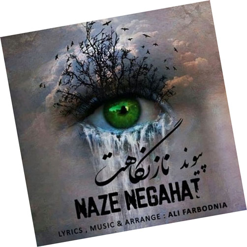 ناز-نگاهت-از-پیوند ناز نگاهت از پیوند