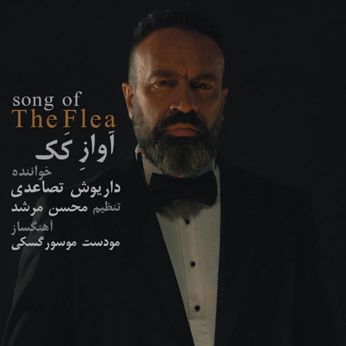 آواز-کَک-از-داریوش-تصاعدی آواز کَک از داریوش تصاعدی
