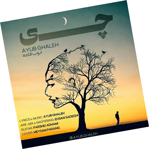 چی از ایوب قلعه