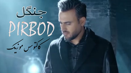 جنگل از پیربد