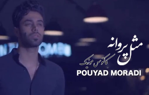 مثل پروانه از پویاد مرادی