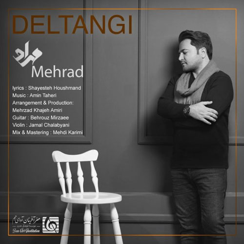 دانلود آهنگ دلتنگی از مهراد رها از مهراد رها - دانلود آهنگ دلتنگی از مهراد رها