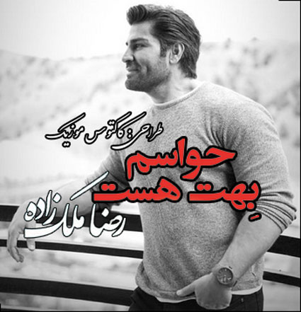 حواسم بهت هست از رضا ملک زاده