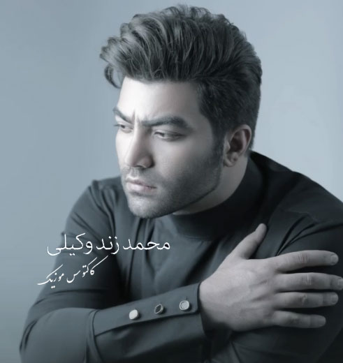 نگرانت نیستم از محمد زندوکیلی
