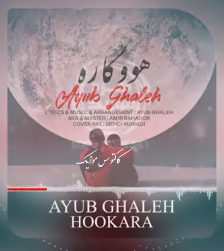 هووکاره از ایوب قلعه