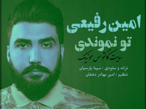 تو نموندی از امین رفیعی
