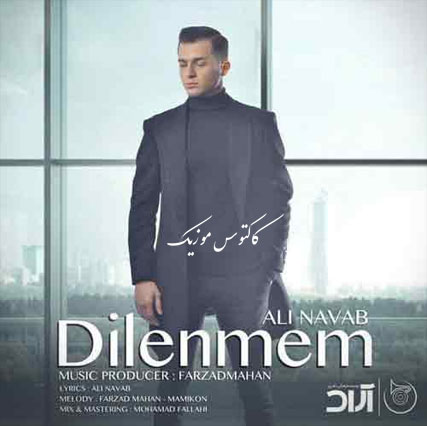 Dilenmem از علی نواب