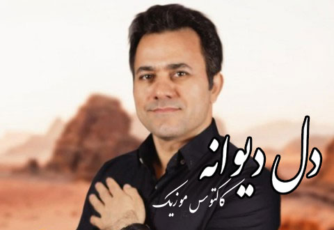 دل دیوانه از رضا بلوری