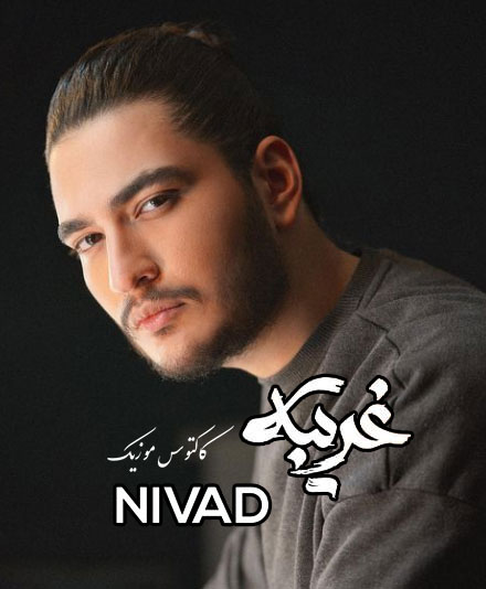 غریبه از نیواد