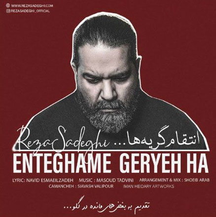 انتقام گریه ها از رضا صادقی