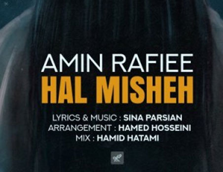 حل میشه از امین رفیعی