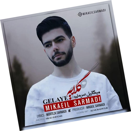 گلایه‌ از‌ میکائیل‌ سرمدی
