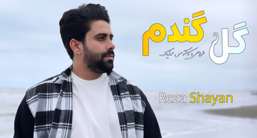 گل-گندم-از-رضا-شایان گل گندم از رضا شایان