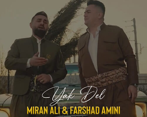 یک دل از فرشاد امینی و میران علی