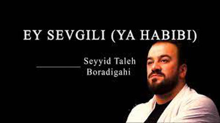 یا حبیبی از سید طالع برادیگاهی - مداحی یا حبیبی از سید طالع برادیگاهی