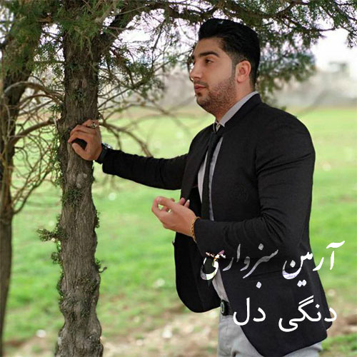 دنگی دل از آرمین سبزواری