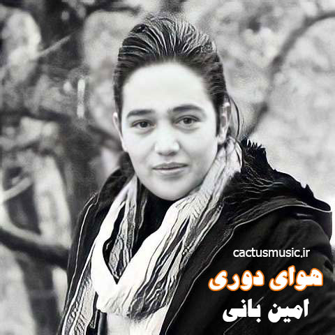 هوای دوری از امین بانی
