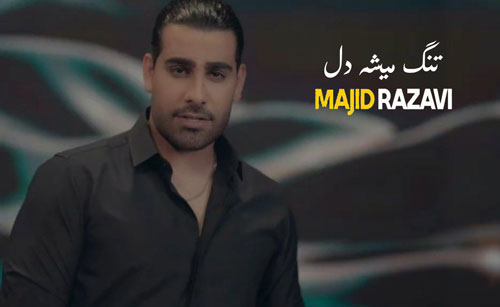 میشه دل از مجید رضوی - دانلود آهنگ تنگ میشه دل از مجید رضوی
