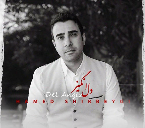دانلود آهنگ دل انگیز از حامد شیربیگی انگیز از حامد شیربیگی - دانلود آهنگ دل انگیز از حامد شیربیگی