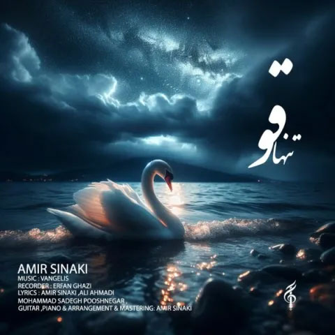 قو از امیر سینکی - دانلود آهنگ تنها قو از امیر سینکی