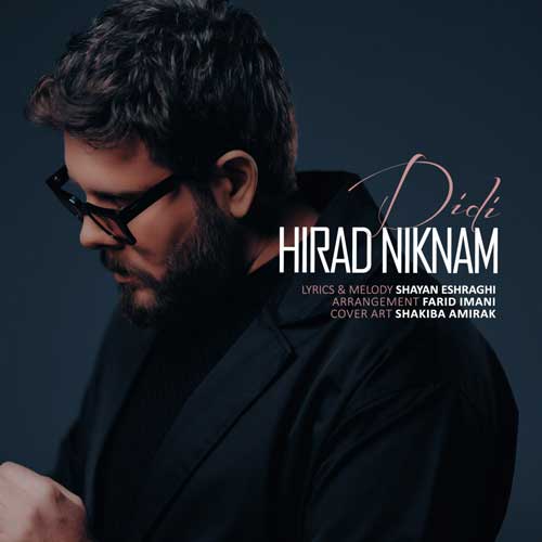 از هیراد نیکنام - دانلود آهنگ دیدی از هیراد نیکنام